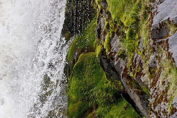 Water in Green 4