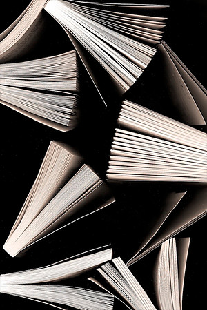 Book Lover 49.5 x 35.5