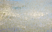 Monet in the Adirondacks