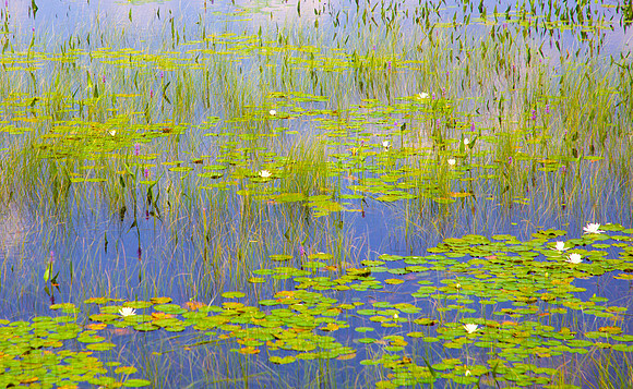 Monet in the Adirondacks V 40x65 Framed Limited Edition of 10