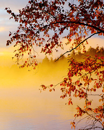 Autumn Eve 40x32 Framed Limited Edition of 10
