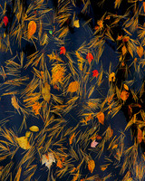 Autumn Floats 40x32 Framed Limited Edition of 10