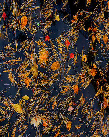 Autumn Floats 40x32  Framed Limited Edition of 10