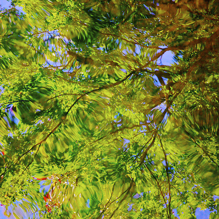 Lake Party in Green Dive In 35x35 Framed Limited Edition of 10