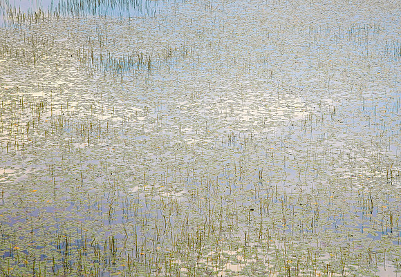 Monet in the Adirondacks I 45x65 Framed Limited Edition of 10