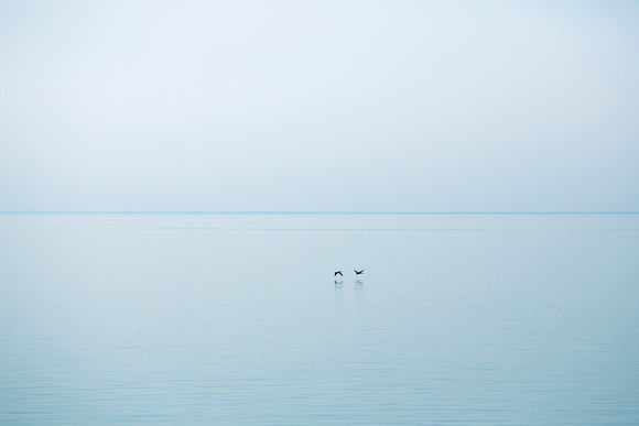 Lake Pontchartrain III | Custom sizes