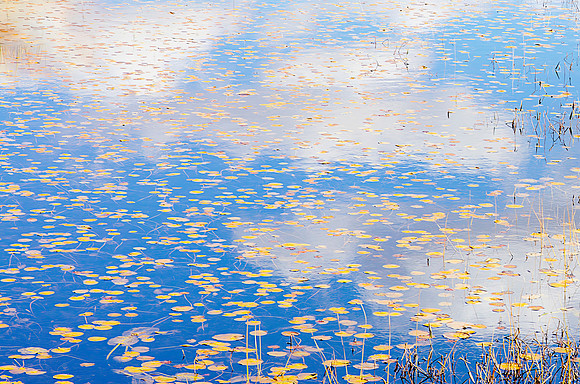 "Monet in the Adirondacks IV" | Fine Art Print on Hahnemühle William Turner Paper | Whitewashed Maple Wood Frame | 45”H x 65”W | Edition of 10 | $5,500 | Custom sizes and print methods available.