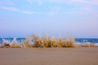 Beach Dance | Custom sizes | Limited Edition of 10