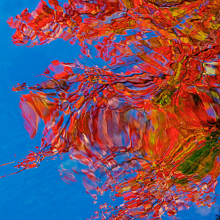 Lake Piants Autumn 45x45