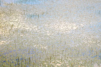 Monet in the Adirondacks I 44h x 64w