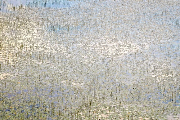 Monet in the Adirondacks I 44h x 64w