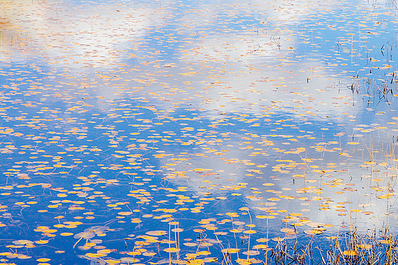 Panel 1A- Monet in the Adirondacks IV 60"W x 40"H