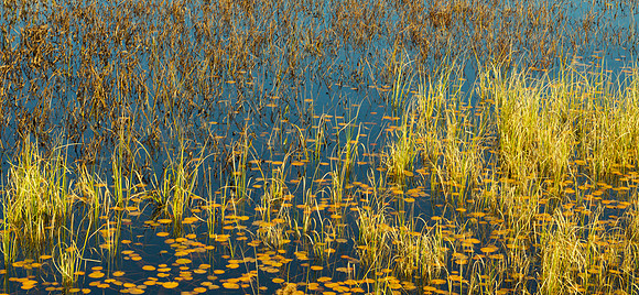 Monet in the Adirondacks Autumn III | Fine Art Print on Hahnemühle William Turner Paper | Gold Burnished Wood Frame | 30”H x 65” | $4,250