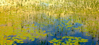 Monet in the Adirondacks Autumn II | Fine Art Print on Hahnemühle William Turner Paper | Gold Burnished Wood Frame | 30”H x 65” | $4,250