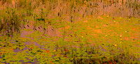 Monet in the Adirondacks Autumn I | Fine Art Print on Hahnemühle William Turner Paper | Gold Burnished Wood Frame | 30”H x 65” | $4,250