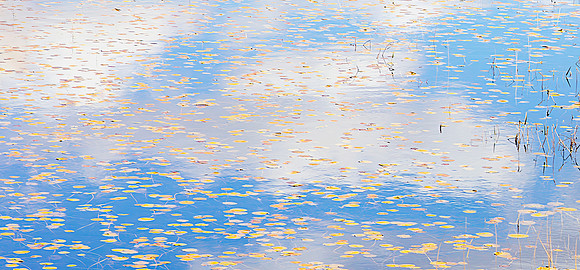 "Monet in the Clouds" | Fine Art Print on Hahnemühle William Turner Paper | Whitewashed Maple Wood Frame | ”30"H x 65”W | Limited edition of 10 | $4,2500 | Custom sizes and print methods available.