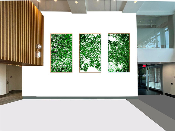 Wellesley Project Main Lobby/ADK Trees