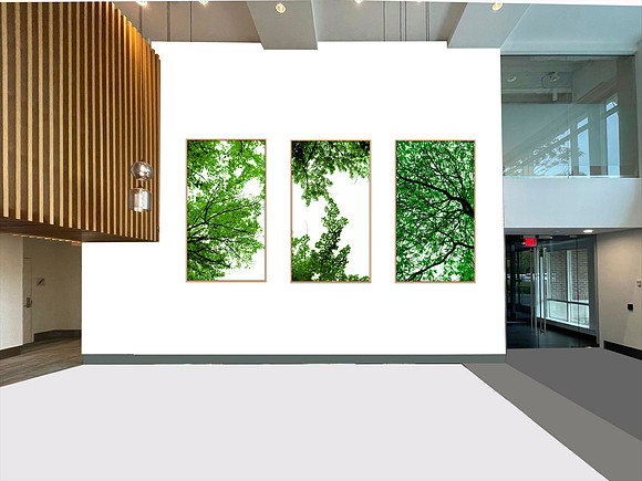Wellesley Project Main Lobby/ADK Trees