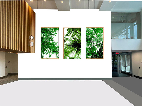 Wellesley Project Main Lobby/ADK Trees