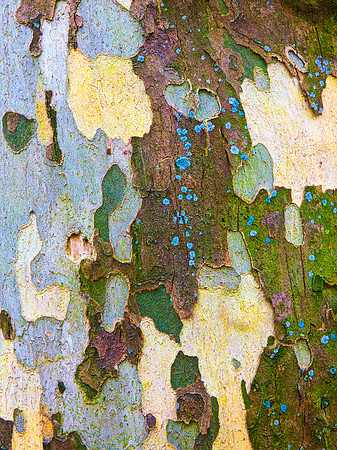 In Plane View IV (30"W x 40"H)