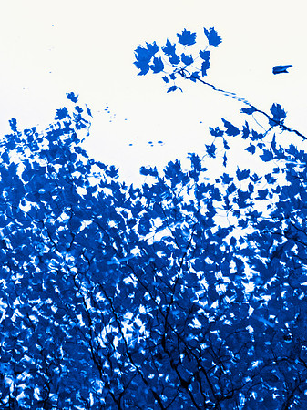 Reflection in Blue (30"W x 40"H)