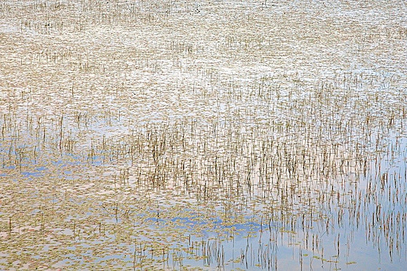 Monet in the Adirondacks II 44h x 64w