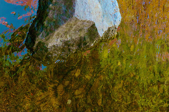 FCAbstracts 113