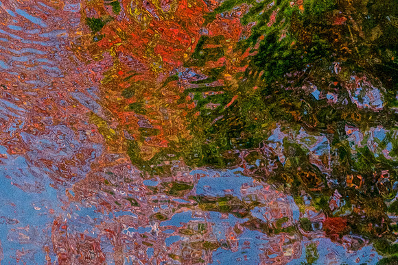 FCAbstracts 110