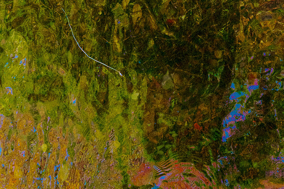 FCAbstracts 106