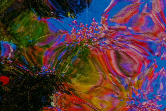 FCAbstracts 58