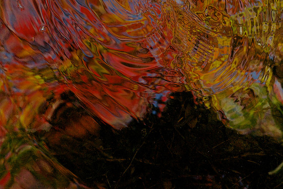 FCAbstracts 55
