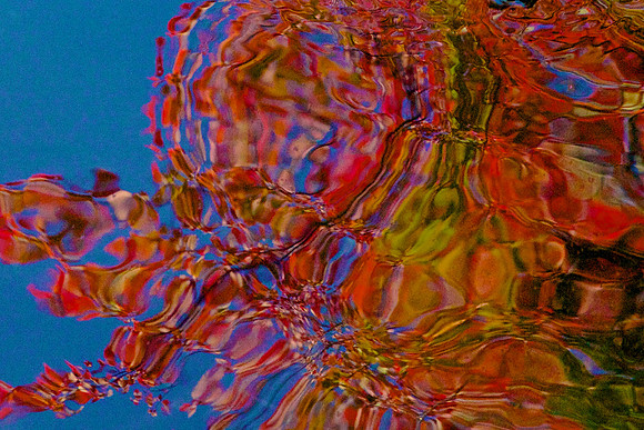FCAbstracts 38