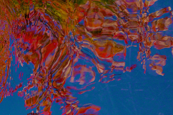 FCAbstracts 32