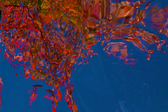 FCAbstracts 30