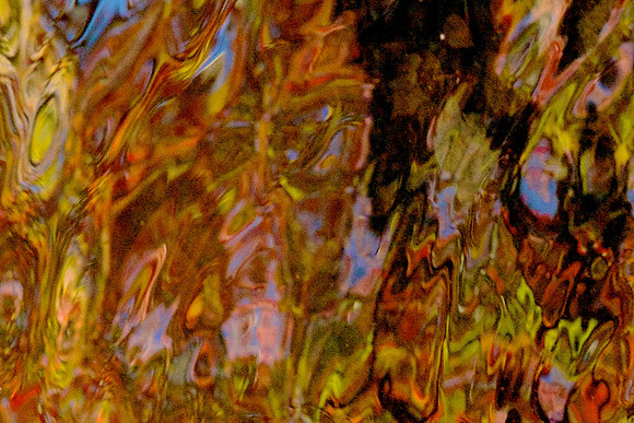 FCAbstracts 28