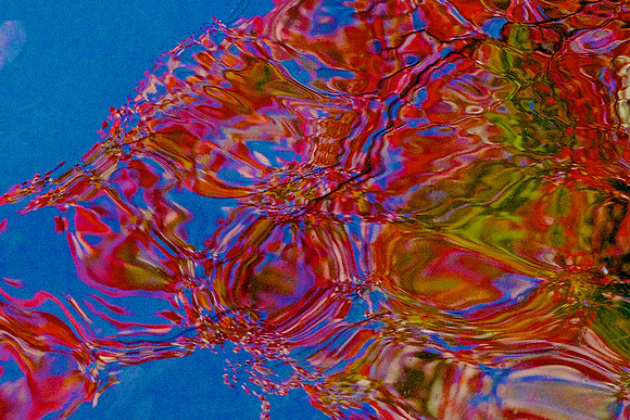 FCAbstracts 24