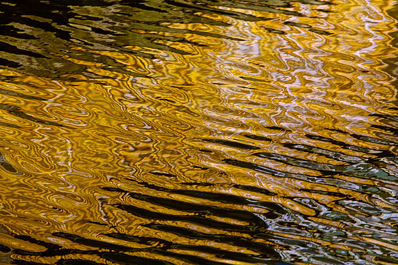 LA Water 32