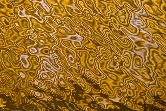 LA Water 29