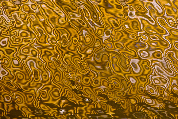 LA Water 28