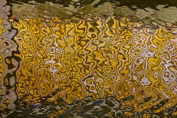 LA Water 25