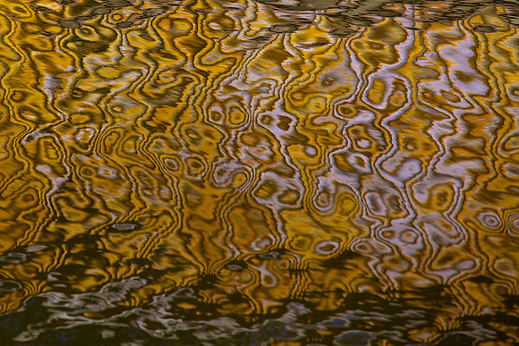 LA Water 23