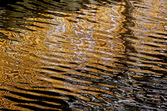 LA Water 21