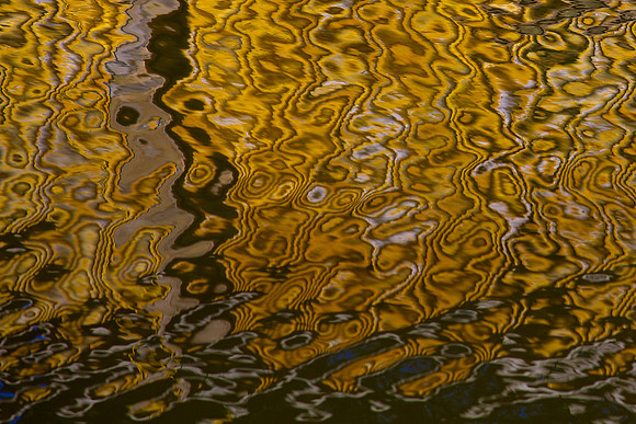 LA Water 21 (1)