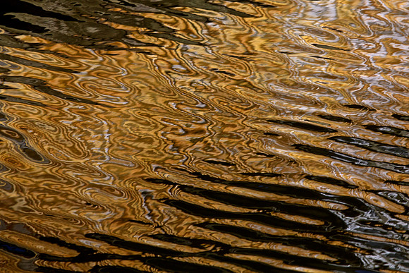 LA Water 20