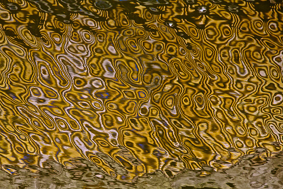 LA Water 18