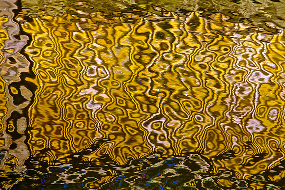 LA Water 15