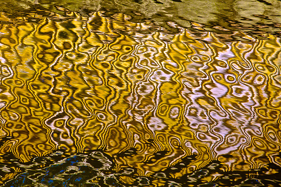 LA Water 14