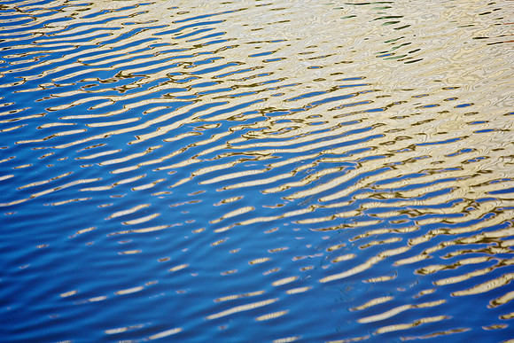 LA Water 6