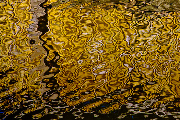 LA Water 12