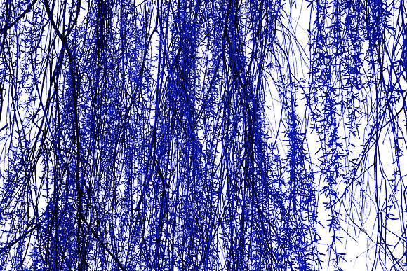 Blue Tree 23